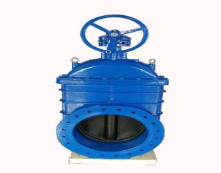 �l�y��ʲô�����F(xi��n)�ܷⲻ���F(xi��n)��